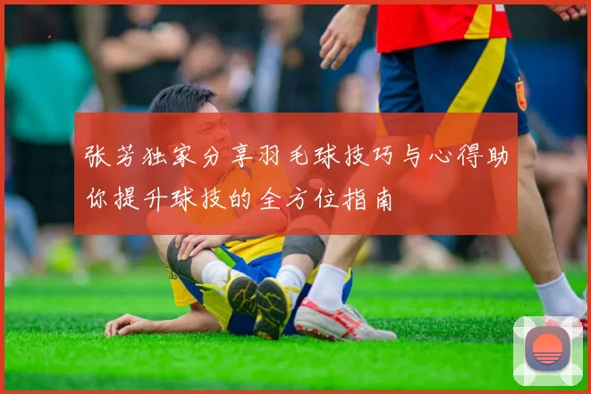 张芳独家分享羽毛球技巧与心得助你提升球技的全方位指南