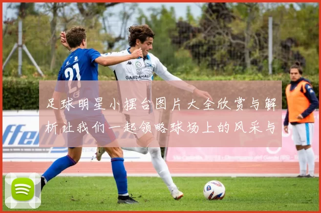 足球明星小摆台图片大全欣赏与解析让我们一起领略球场上的风采与魅力
