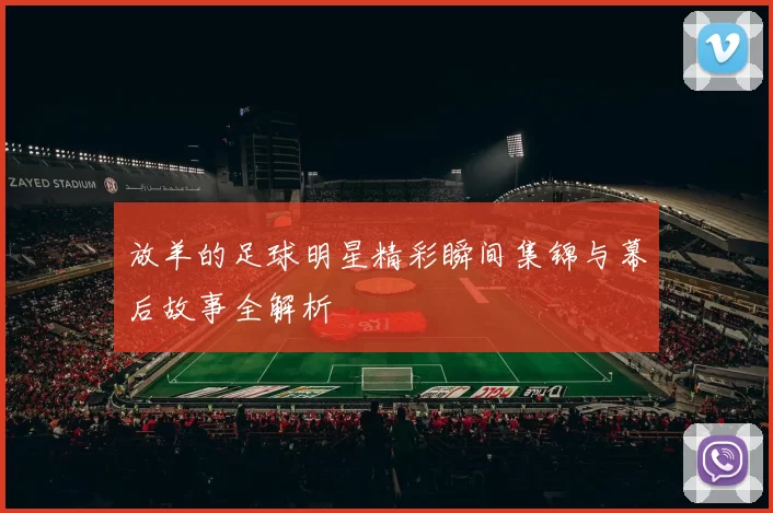 放羊的足球明星精彩瞬间集锦与幕后故事全解析