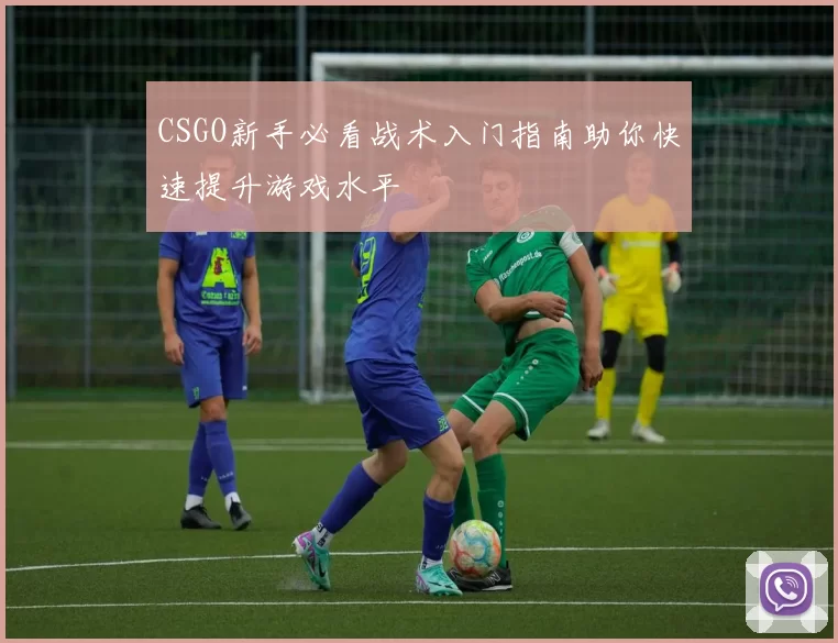 CSGO新手必看战术入门指南助你快速提升游戏水平