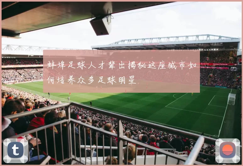 蚌埠足球人才辈出揭秘这座城市如何培养众多足球明星