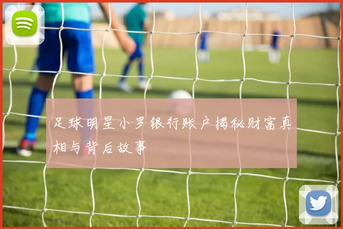 足球明星小罗银行账户揭秘财富真相与背后故事