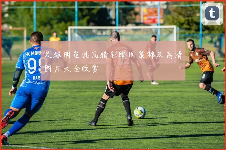 足球明星扎瓦精彩瞬间集锦及高清图片大全欣赏