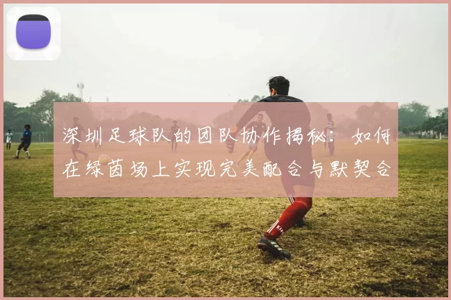 深圳足球队的团队协作揭秘：如何在绿茵场上实现完美配合与默契合作