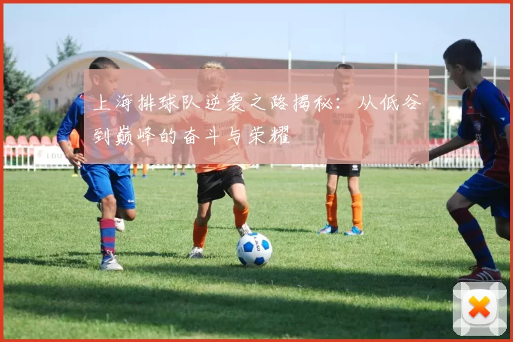 上海排球队逆袭之路揭秘：从低谷到巅峰的奋斗与荣耀