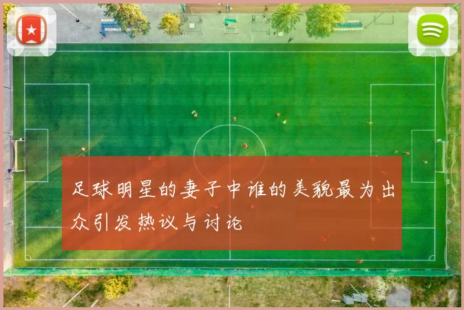 足球明星的妻子中谁的美貌最为出众引发热议与讨论
