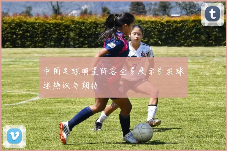 中国足球明星阵容全景展示引发球迷热议与期待