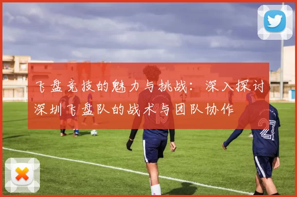 飞盘竞技的魅力与挑战：深入探讨深圳飞盘队的战术与团队协作