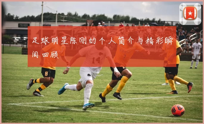 足球明星陈刚的个人简介与精彩瞬间回顾