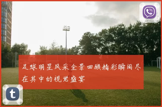 足球明星风采全景回顾精彩瞬间尽在其中的视觉盛宴