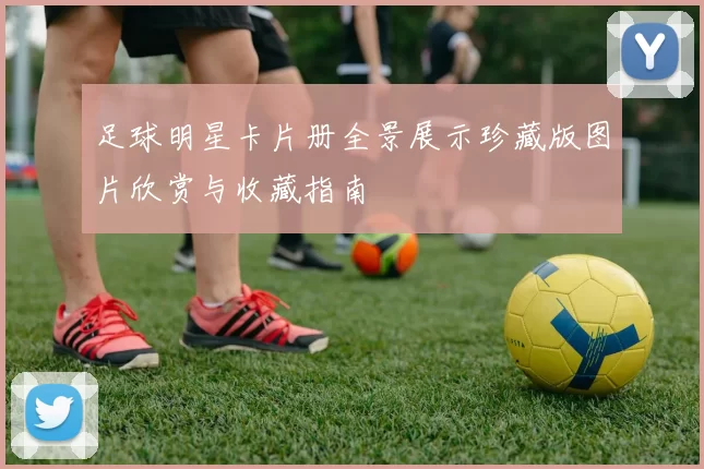 足球明星卡片册全景展示珍藏版图片欣赏与收藏指南
