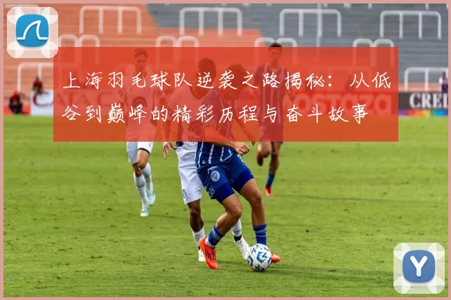 上海羽毛球队逆袭之路揭秘：从低谷到巅峰的精彩历程与奋斗故事