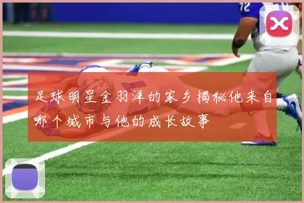 足球明星金羽洋的家乡揭秘他来自哪个城市与他的成长故事